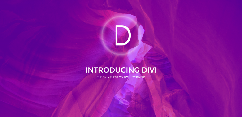 Why We use DiVi for Web Design